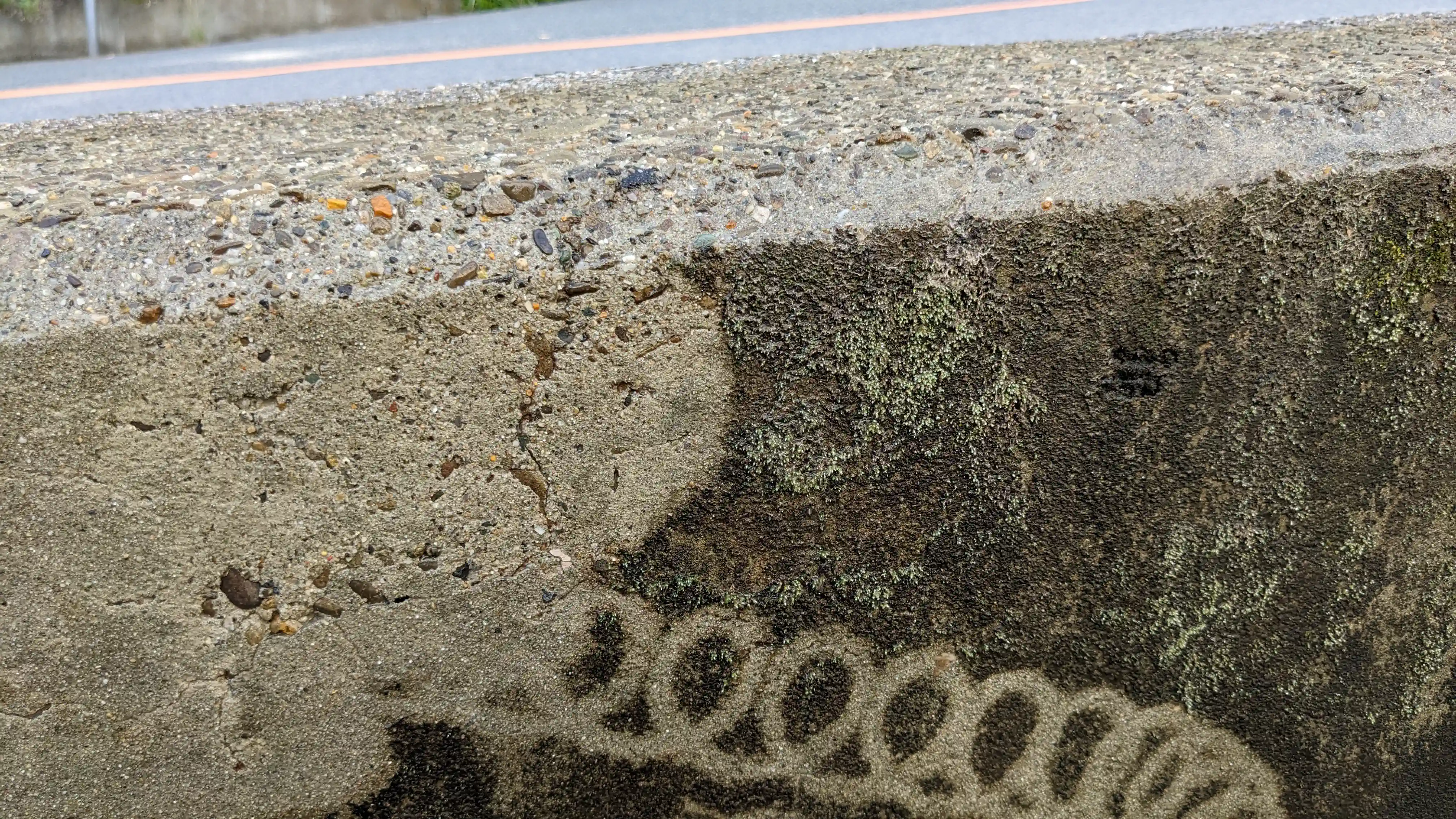 Concrete wall ramp showing pressure washing cleaning pattern contrast